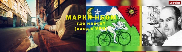 стафф Аркадак