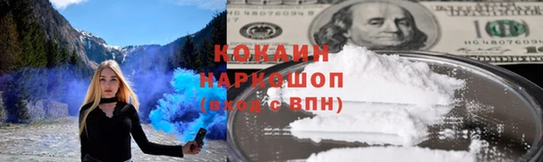 стафф Аркадак