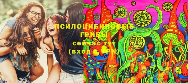 крисы Арсеньев