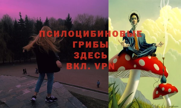 крисы Арсеньев