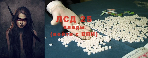 стафф Аркадак