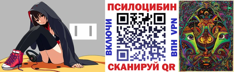 где найти   Джанкой  Псилоцибиновые грибы мицелий 